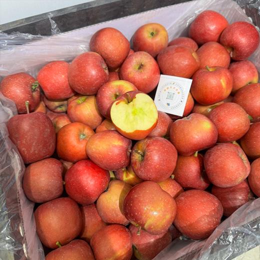 昭通糖心苹果 脆甜多汁 商品图8