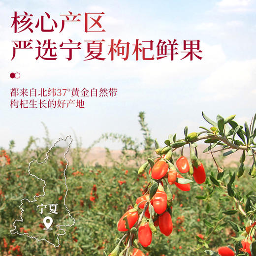 康美枸杞原浆30ml*40袋/盒 红枸杞原浆饮独立小袋泡水即食养生送礼滋补 商品图4