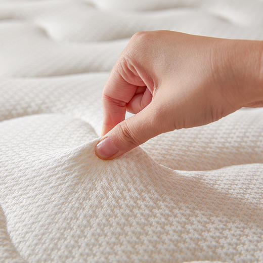 自然醒抗菌两用记忆棉床垫5公分LN 商品图12