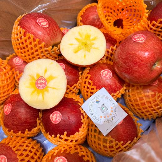 昭阳红苹果 脆甜 5A大果 商品图3