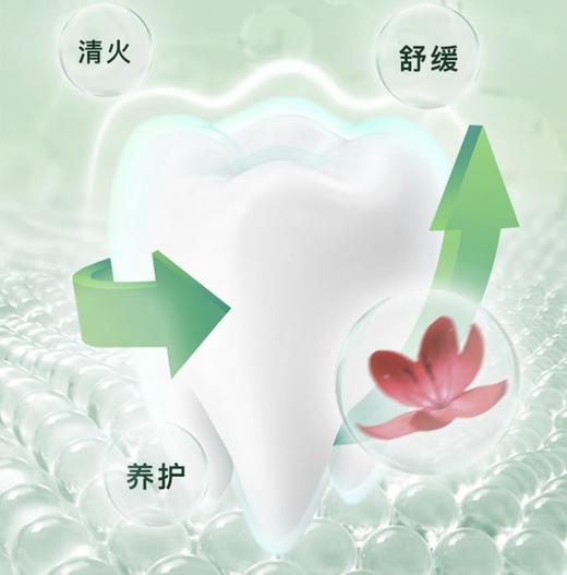 【严选】舒客红花清火牙膏 清火护龈减轻牙龈红肿清新口气 120g   （厂家直发） 商品图2