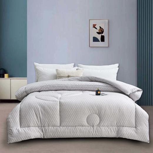 洁丽雅 摩登方格被 200*230cm（5斤） 商品图0