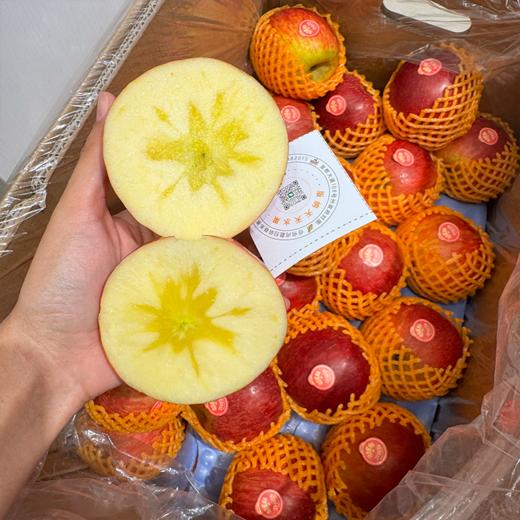 昭阳红苹果 脆甜 5A大果 商品图1