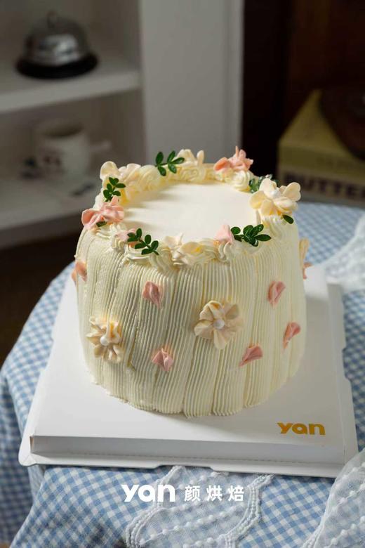 春日花雨 商品图0