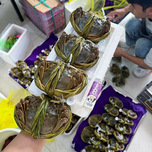 爆黄江苏红膏大闸蟹 有身份证的大品牌螃蟹  鲜活 收到后2小时内有问题可售后 过时不候 商品图10