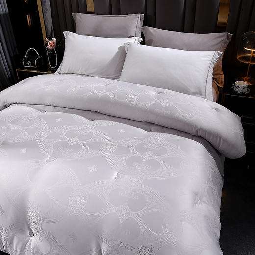 【多样屋专柜】悠梦嘉居欧式丝韵提花被200*230cm 3500克 商品图1