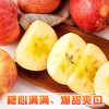 【严选】【基地顺丰到家  新疆阿克苏冰糖心】原产地阿克苏冰糖心苹果新鲜当季水果精选大果型  8.5斤（厂家直发） 商品缩略图2