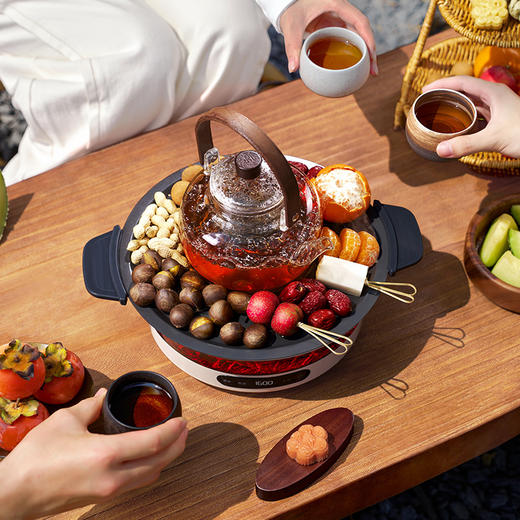 蓝宝（BLAUPUNKT）仿真碳火围炉煮茶器套装全玻璃0胶水养生壶恒温电陶炉露营家用野营电围炉 商品图6