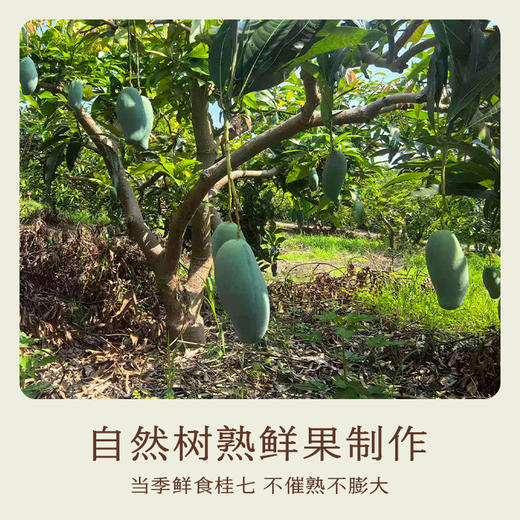 南食召 基本芒果干 商品图3