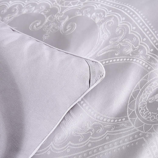 【多样屋专柜】悠梦嘉居欧式丝韵提花被200*230cm 3500克 商品图4