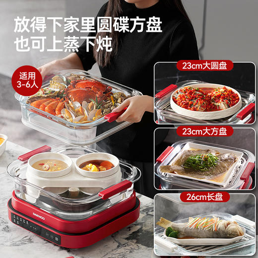 大宇多功能炖蒸煮一体蒸汽锅分体可拆洗不锈钢 单锅S31-SE 商品图3