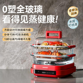 大宇多功能炖蒸煮一体蒸汽锅分体可拆洗不锈钢 单锅S31-SE