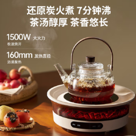 蓝宝（BLAUPUNKT）仿真碳火围炉煮茶器套装全玻璃0胶水养生壶恒温电陶炉露营家用野营电围炉