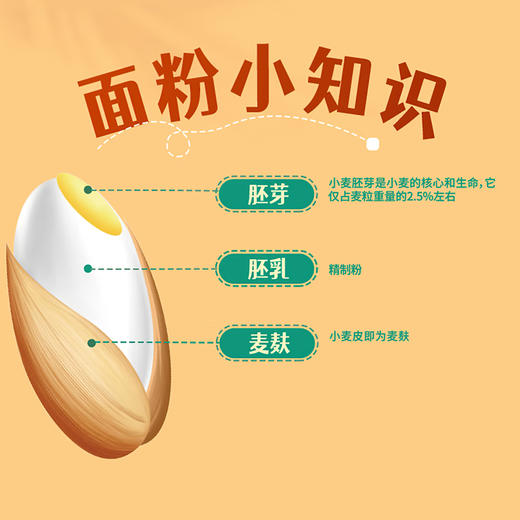 大公牌全麦粉5kg/袋 商品图3