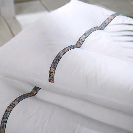 【多样屋专柜】悠梦嘉居超柔护颈枕48*74cm单个 商品图4