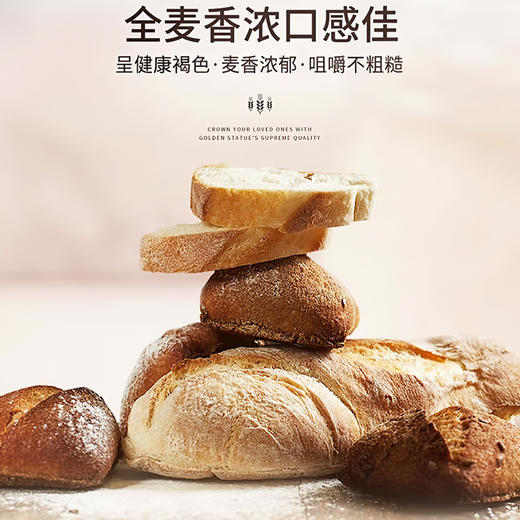 大公牌全麦粉5kg/袋 商品图1