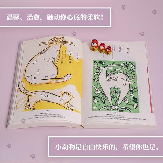 《365日·有猫更幸福》《365日·猫友记》《365日·一人一猫一世界》（日） 中西直子 绘著 商品图6