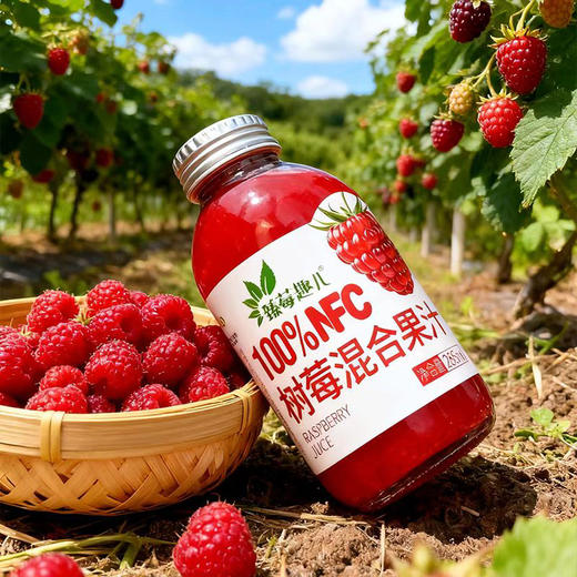 【印象沈农推荐】大连普兰店 NFC 非还原树莓混合果汁 6 瓶 商品图1