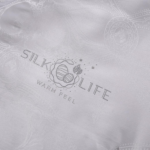 【多样屋专柜】悠梦嘉居欧式丝韵提花被200*230cm 3500克 商品图3