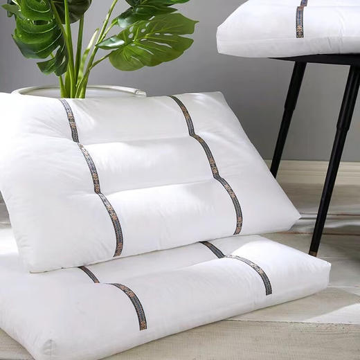 【多样屋专柜】悠梦嘉居超柔护颈枕48*74cm单个 商品图2