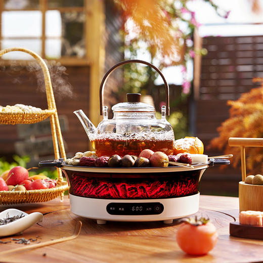 蓝宝（BLAUPUNKT）仿真碳火围炉煮茶器套装全玻璃0胶水养生壶恒温电陶炉露营家用野营电围炉 商品图8