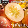 【严选】【基地顺丰到家  新疆阿克苏冰糖心】原产地阿克苏冰糖心苹果新鲜当季水果精选大果型  8.5斤（厂家直发） 商品缩略图0