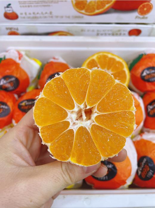 每日多蜜桔一箱 商品图3