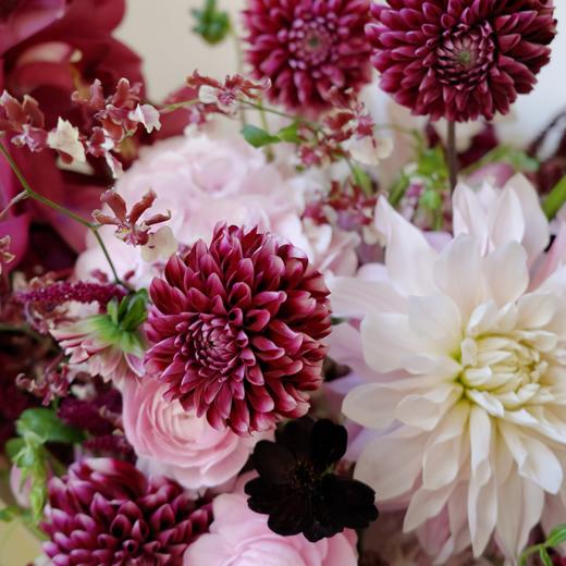 浆果甜酒 Brachetto 商品图2