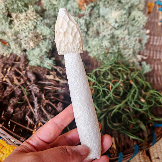 【竹荪】纯野生竹荪肉厚浓香/种植竹荪无熏硫/新货包邮 商品图1