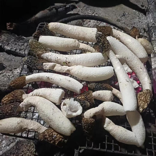 【竹荪】纯野生竹荪肉厚浓香/种植竹荪无熏硫/新货包邮 商品图6