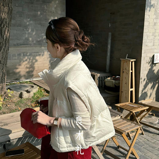 【特价不退换】【预售7天】良木礼鹅绒马甲(D25103431) 商品图4