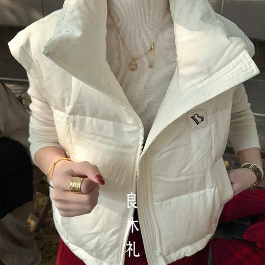 【特价不退换】【预售7天】良木礼鹅绒马甲(D25103431) 商品图3