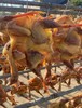 农家风干咸鸡1.7-1.9斤 自然晾晒风干，鸡肉紧实层次分明，鸡皮金黄有弹性，鸡骨咸香入味，风味独特，肉质紧实 商品缩略图3