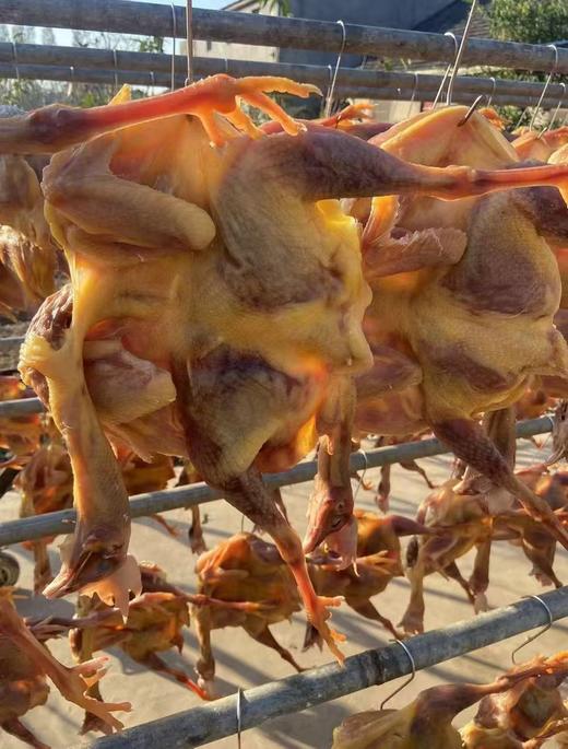 农家风干咸鸡1.7-1.9斤 自然晾晒风干，鸡肉紧实层次分明，鸡皮金黄有弹性，鸡骨咸香入味，风味独特，肉质紧实 商品图3