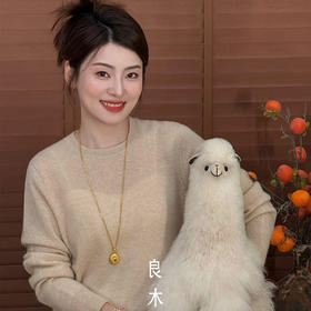 【特价不退换】【预售7天】良木礼山羊绒圆领打底（888）（D251101459）