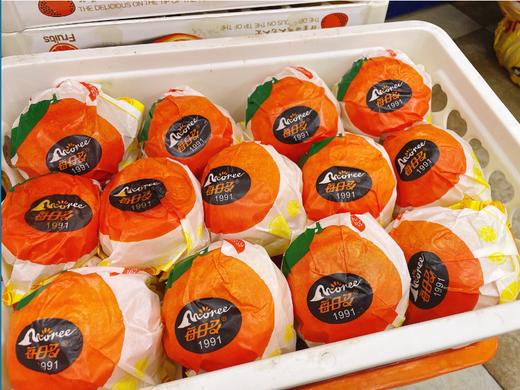 每日多蜜桔一箱 商品图1