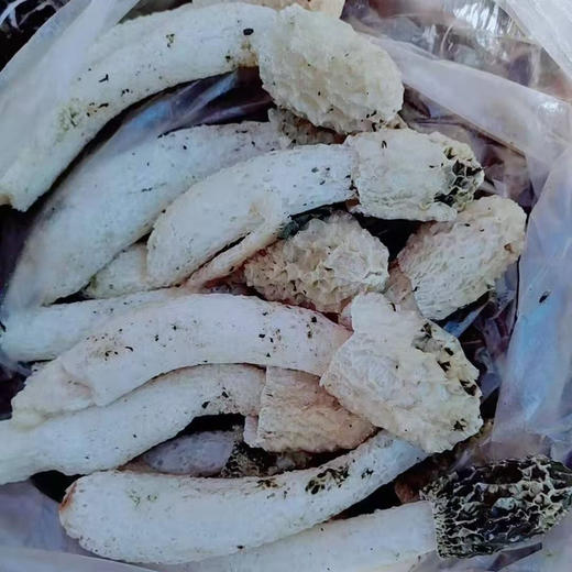 【竹荪】纯野生竹荪肉厚浓香/种植竹荪无熏硫/新货包邮 商品图5
