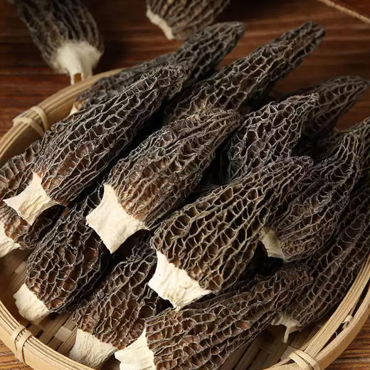 鄂有好货羊肚菌45g 商品图2