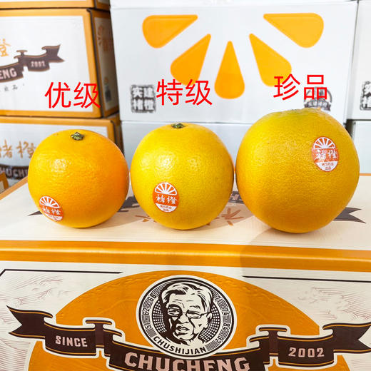 褚橙珍品5kg/件（精选大果，送家人挚友） 商品图1