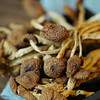 EYOUHAOHUO鄂有好货食堂干货茶树菇250g/袋 商品缩略图3
