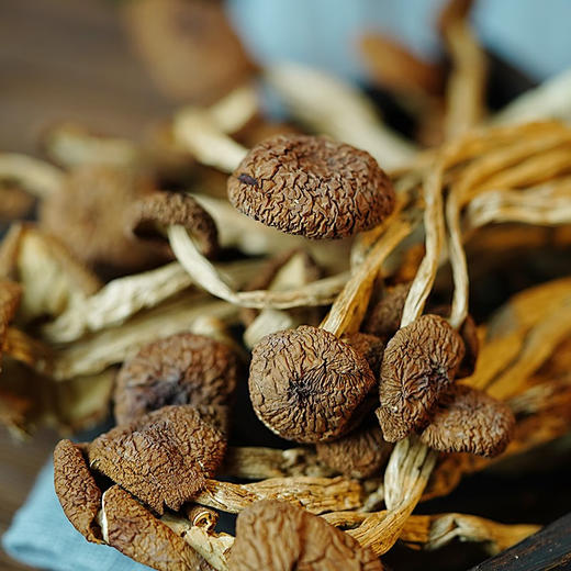 EYOUHAOHUO鄂有好货食堂干货茶树菇250g/袋 商品图3