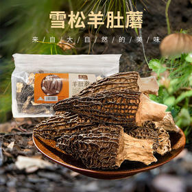 雪松羊肚蘑100g