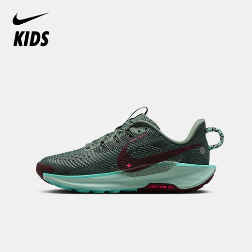 Nike Pegasus Trail 5 大童越野跑步鞋 FV5638 商品图0