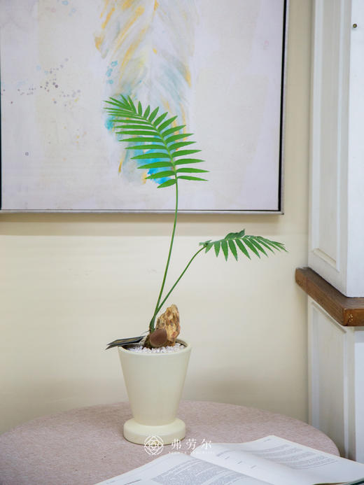 王鱼骨双子铁（米白盆） 商品图0