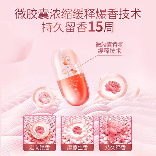 【分仓直发包邮】蔬果园天然精油长效留香珠228g（维多利亚玫瑰与染井吉野樱花） 商品图2