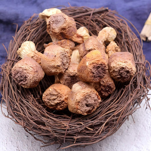 巴东鄂有好货姬松茸50g 商品图2