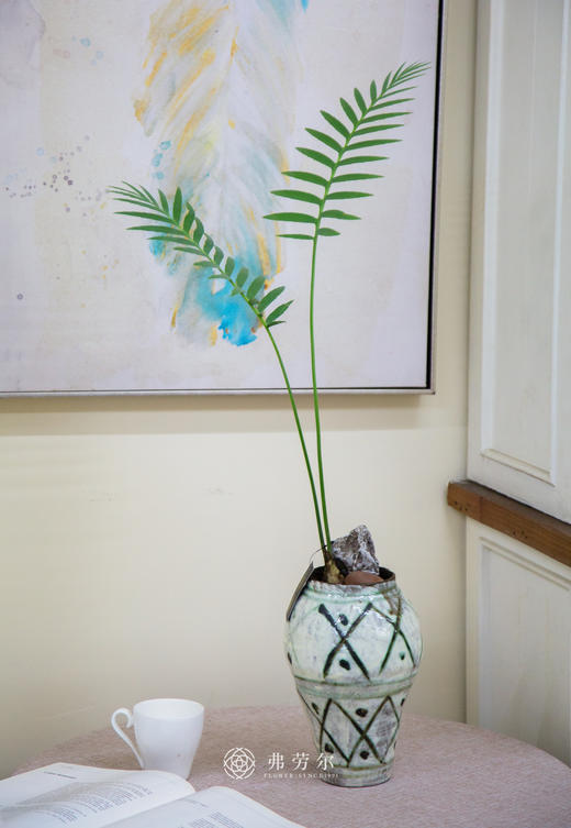 王鱼骨双子铁 商品图0