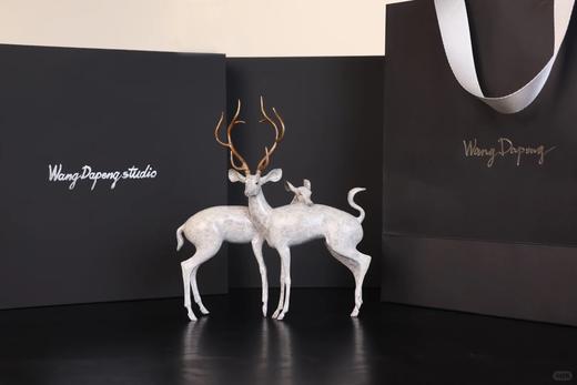 王大朋《连理》50版小号 商品图5