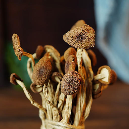 EYOUHAOHUO鄂有好货食堂干货茶树菇250g/袋 商品图1