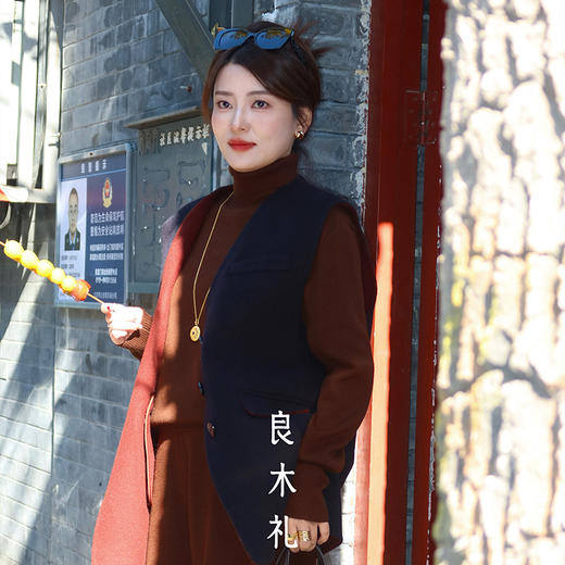 【特价不退换】良木礼羊毛马甲（D25102810） 商品图0